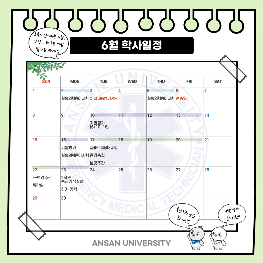 KakaoTalk_20250604_153751763.png