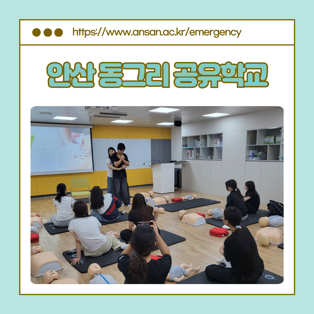 KakaoTalk_20250609_143356091_08.png