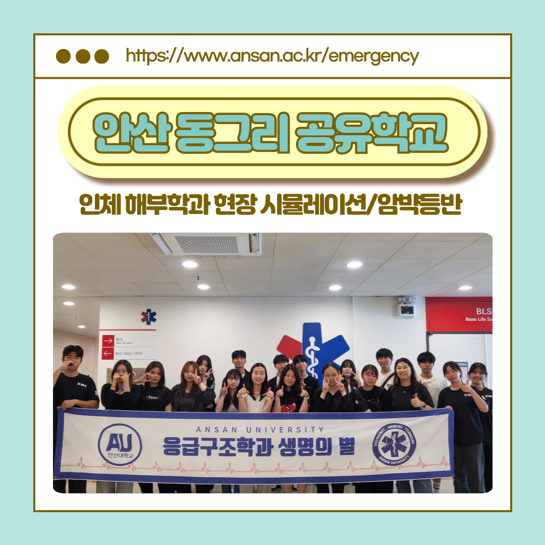 KakaoTalk_20250617_141132134.png