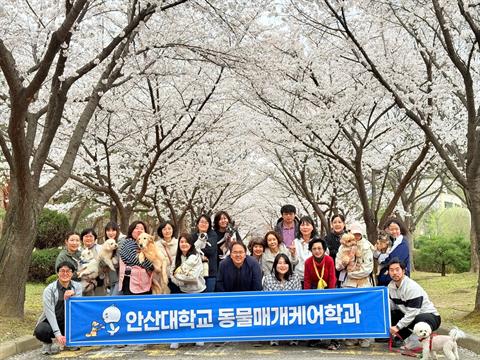 안산대학교 1학년 벗꽃축제