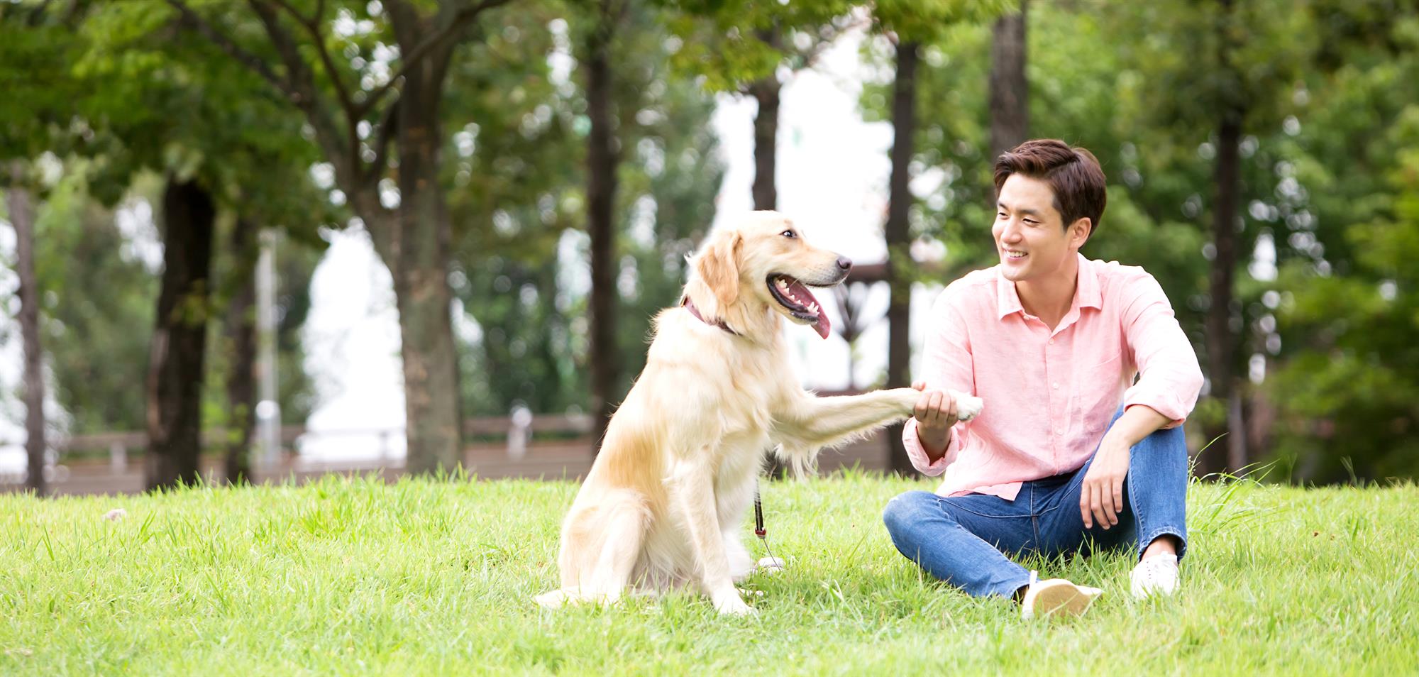 학과개요